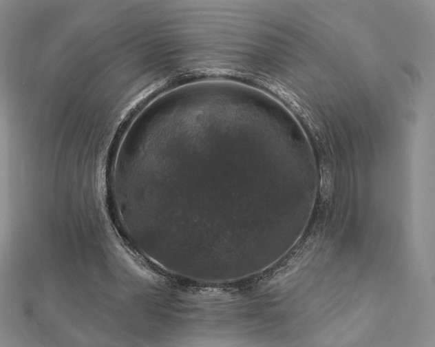 X0000112890390200908211458