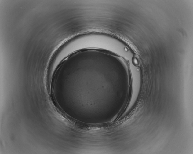 X0000112890391200908211458