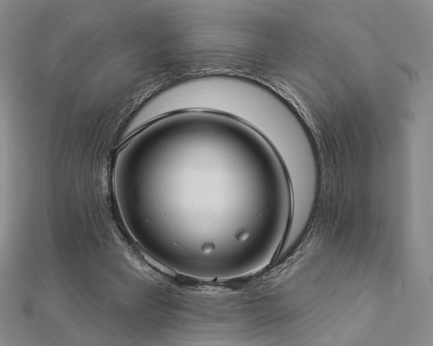 X0000112890393200908211458