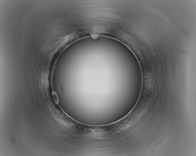 X0000112890395200908211458