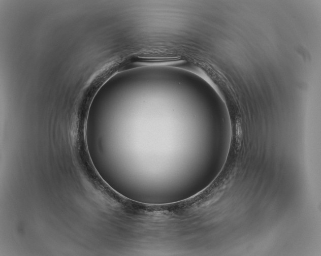 X0000112890396200908211458