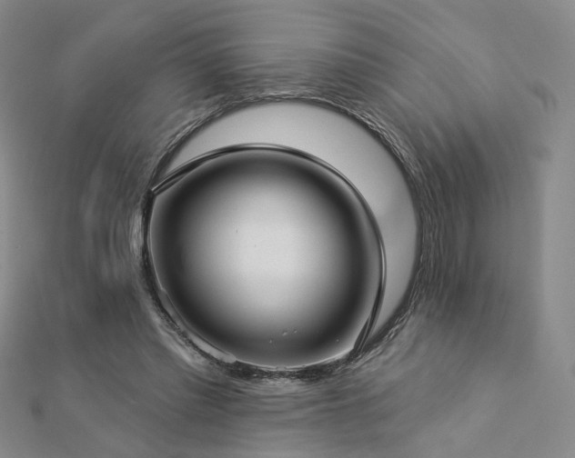 X0000112890397200908211458