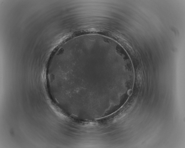 X0000112890398200908211458