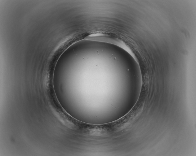X0000112890400200908211458