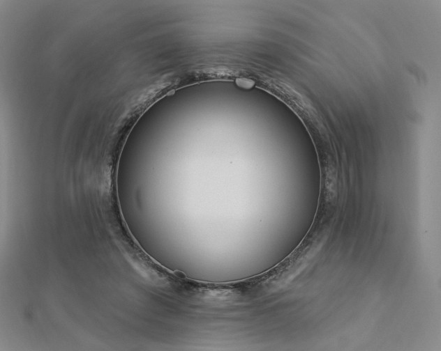 X0000112890401200908211458