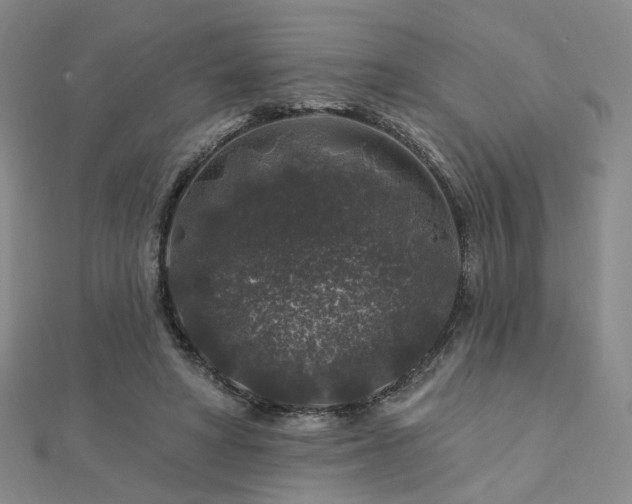 X0000112890402200908211458
