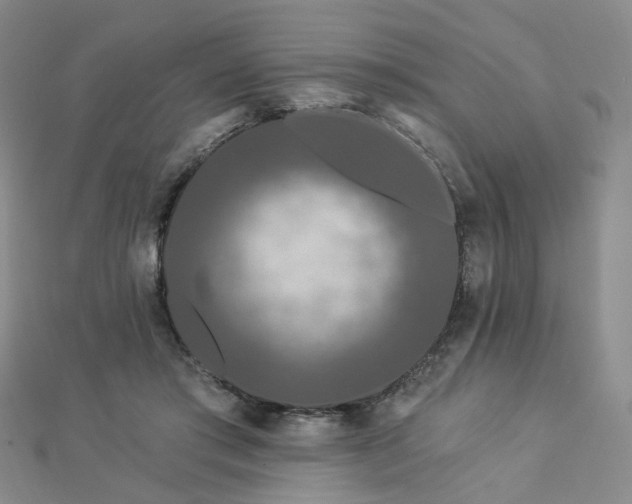 X0000112890405200908211458