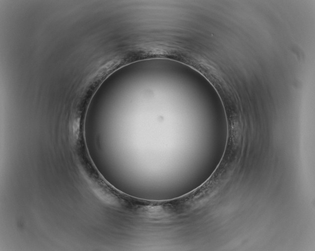 X0000112890406200908211458