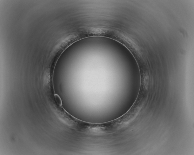 X0000112890407200908211458