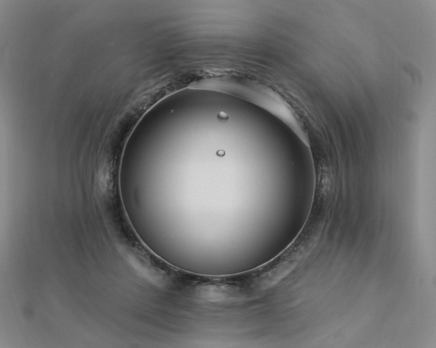 X0000112890408200908211458