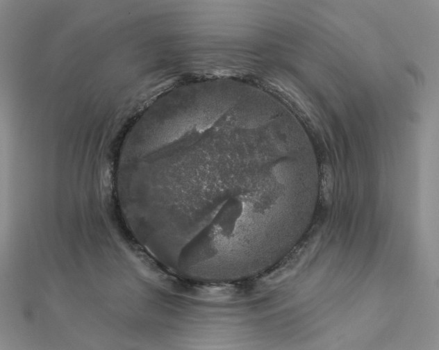 X0000112890410200908211458