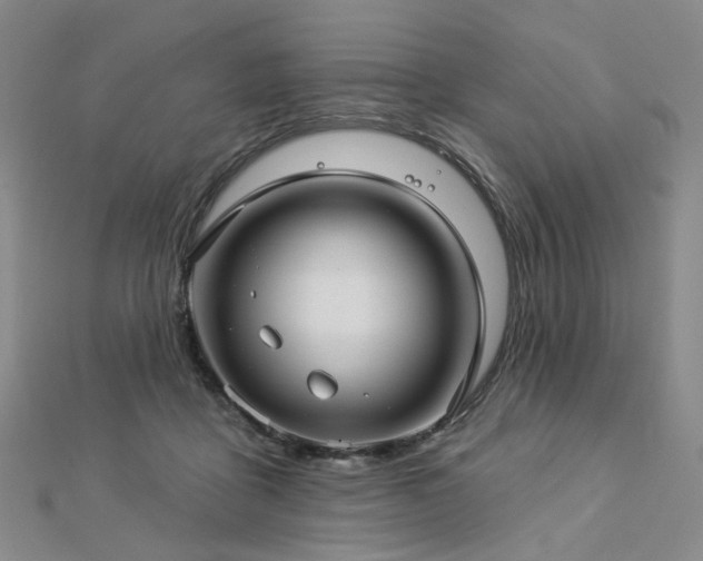 X0000112890411200908211458