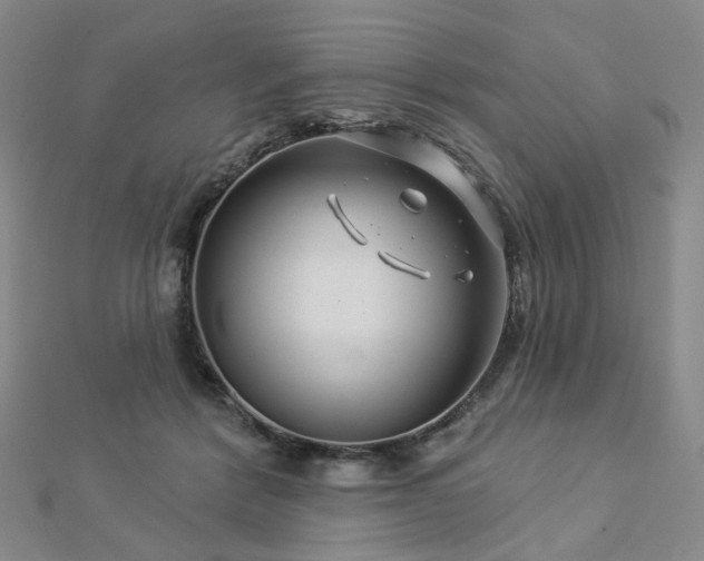 X0000112890412200908211458