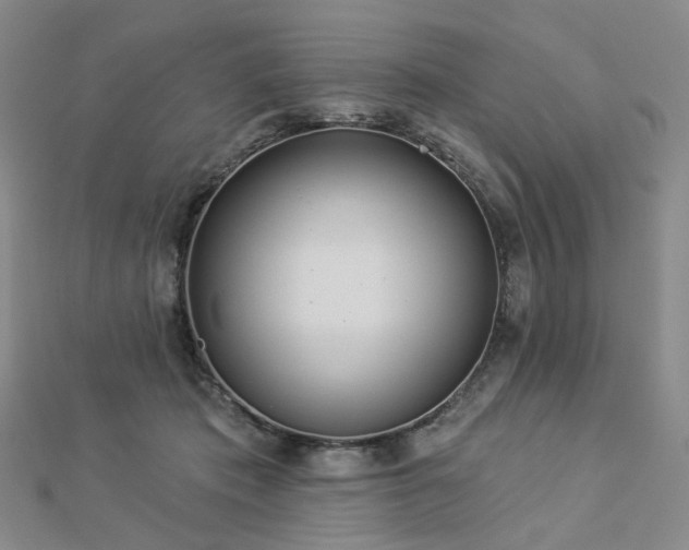 X0000112890413200908211458