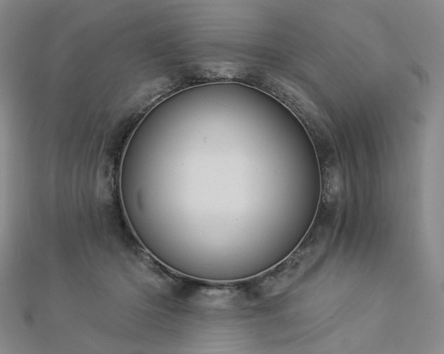 X0000112890414200908211458