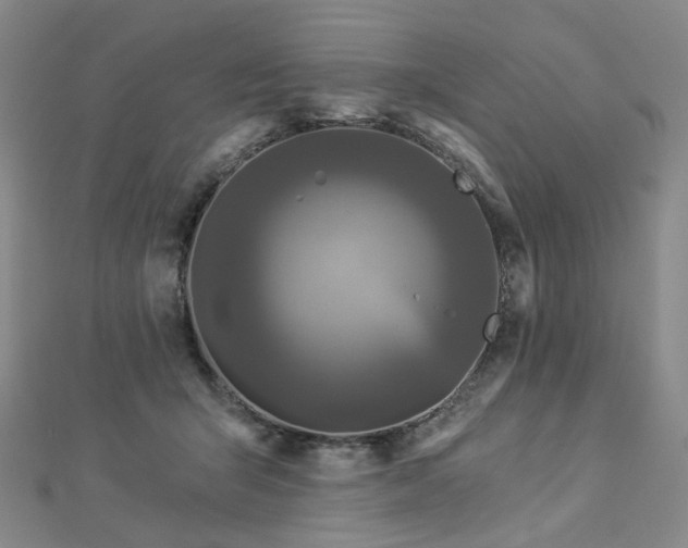 X0000112890415200908211458