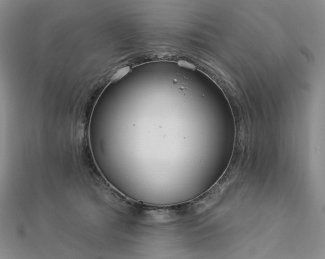 X0000112890417200908211458