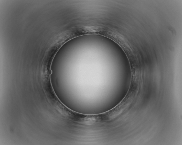 X0000112890418200908211458