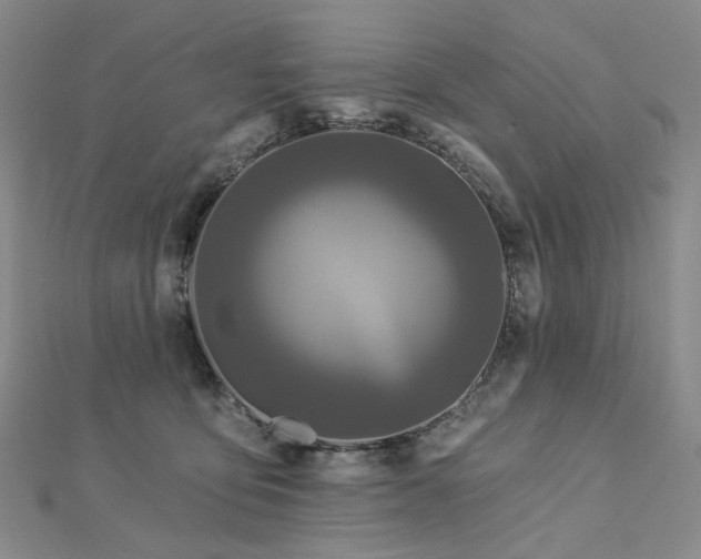 X0000112890419200908211458