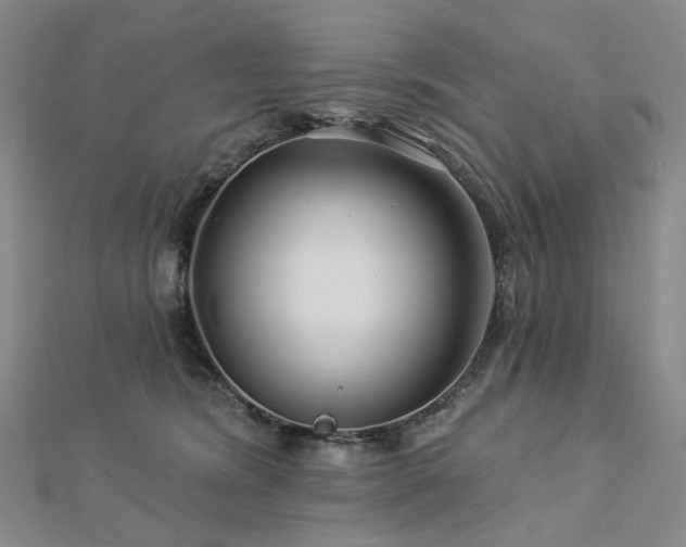 X0000112890420200908211458