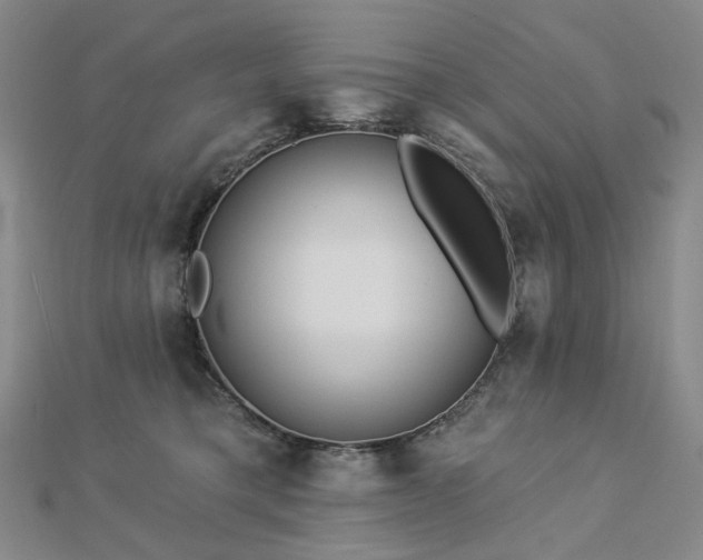 X0000112890421200908211458