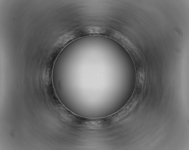 X0000112890422200908211458