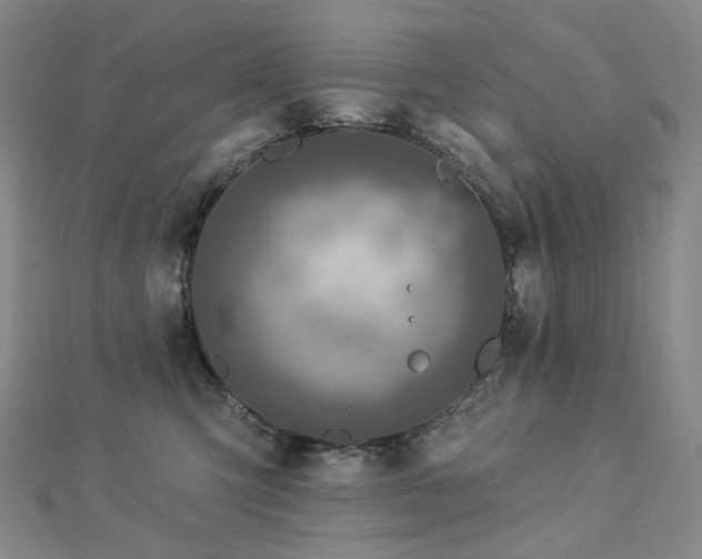 X0000112890423200908211458