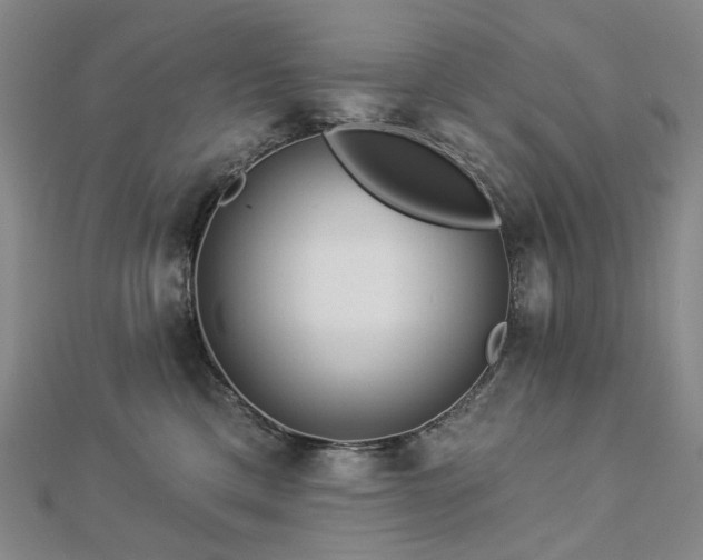 X0000112890425200908211458