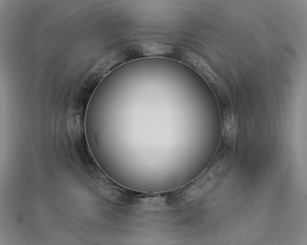 X0000112890426200908211458