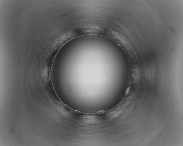 X0000112890428200908211458