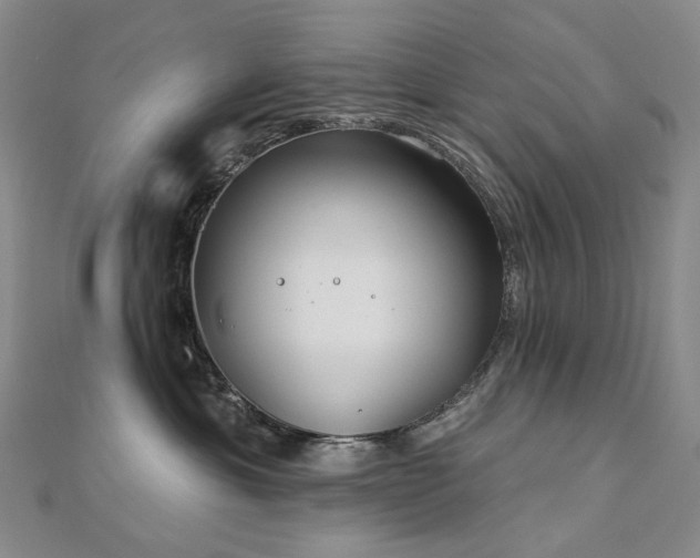 X0000112890429200908211458