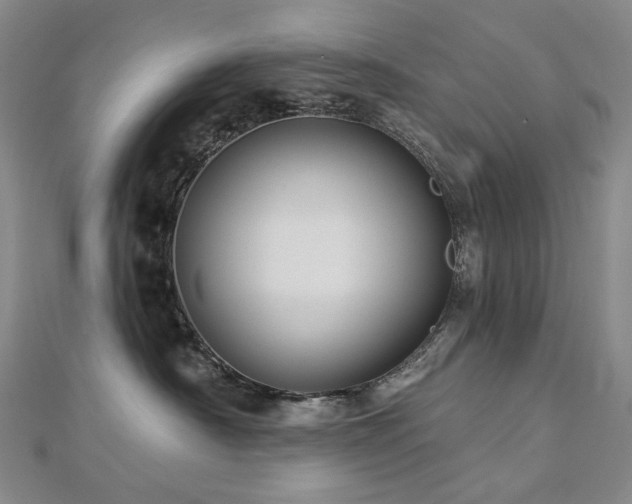 X0000112890430200908211458
