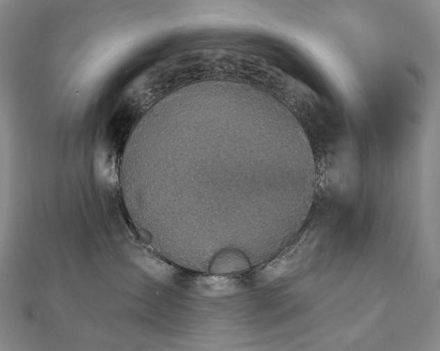 X0000112890431200908211458