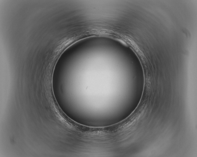 X0000112890433200908211457