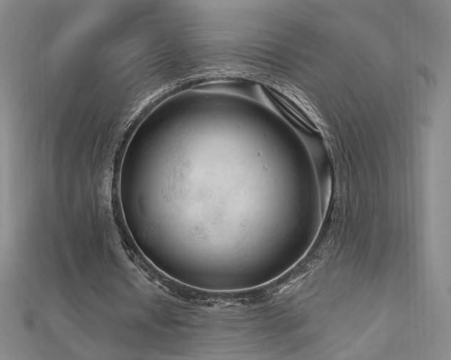 X0000112890434200908211457