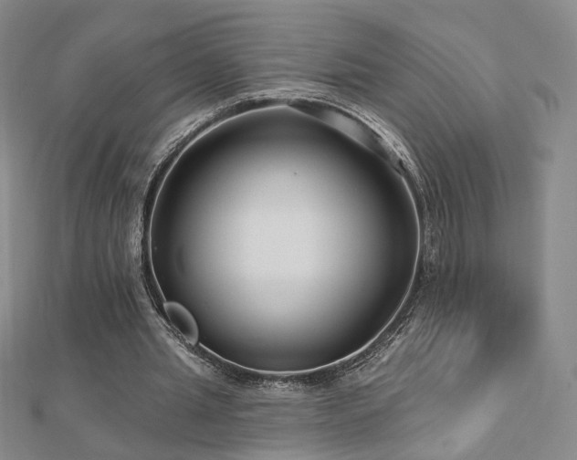 X0000112890437200908211457
