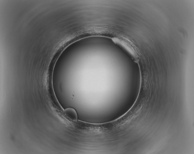 X0000112890439200908211457