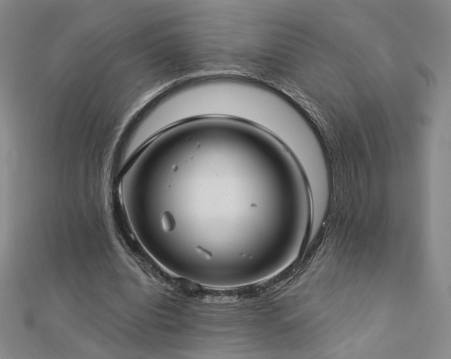 X0000112890440200908211457