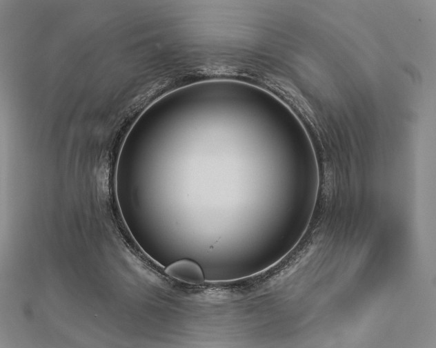 X0000112890441200908211457