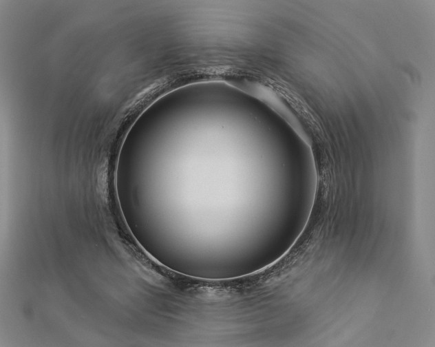 X0000112890442200908211457
