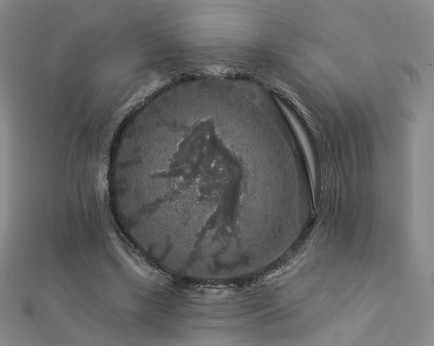 X0000112890443200908211457