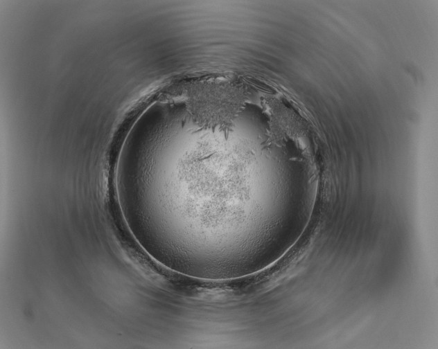 X0000112890446200908211457