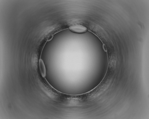 X0000112890448200908211457