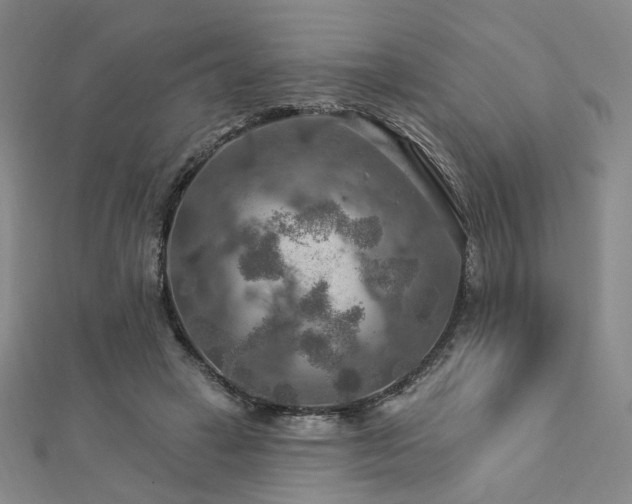 X0000112890449200908211457