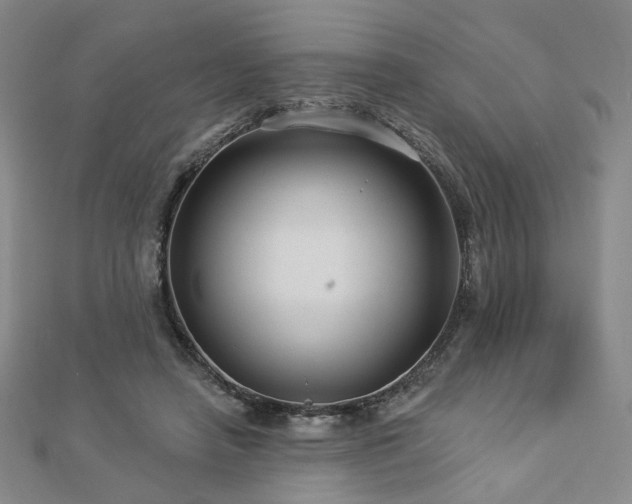 X0000112890450200908211457