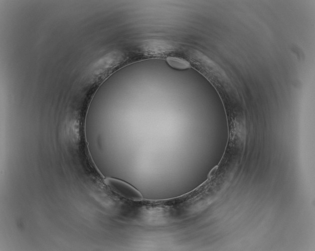 X0000112890452200908211457