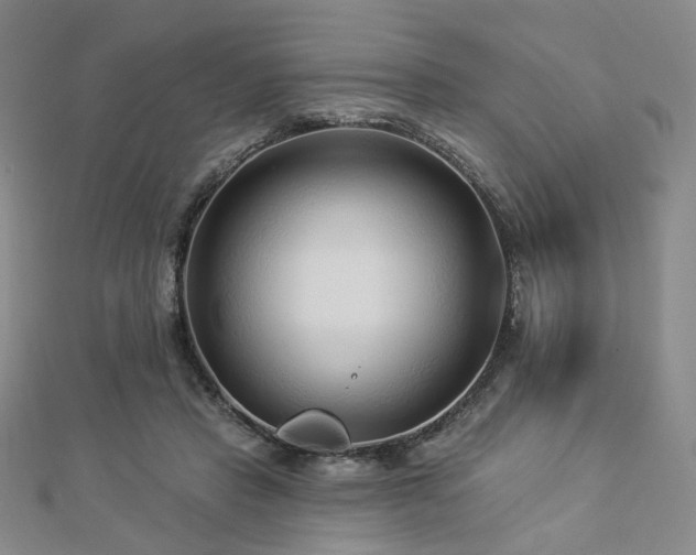 X0000112890453200908211457