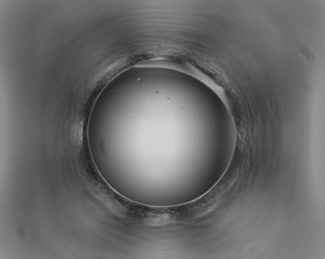 X0000112890454200908211457