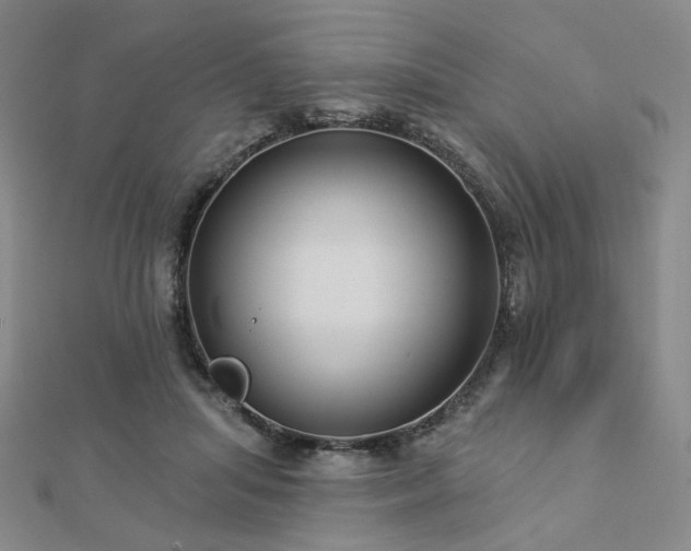 X0000112890455200908211457