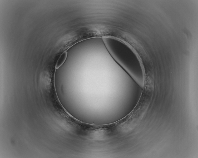 X0000112890456200908211457